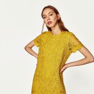 Zara Chartreuse Mustard Yellow Contrast Lace Dress